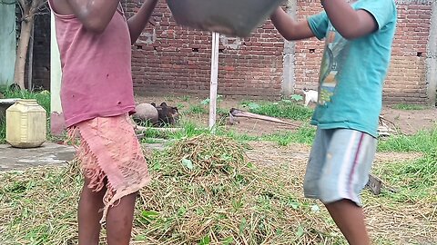 Dhamma Ra Ghansh Giray Delko Re 😂 | Funny Vlog Video | Comedy Entertainment