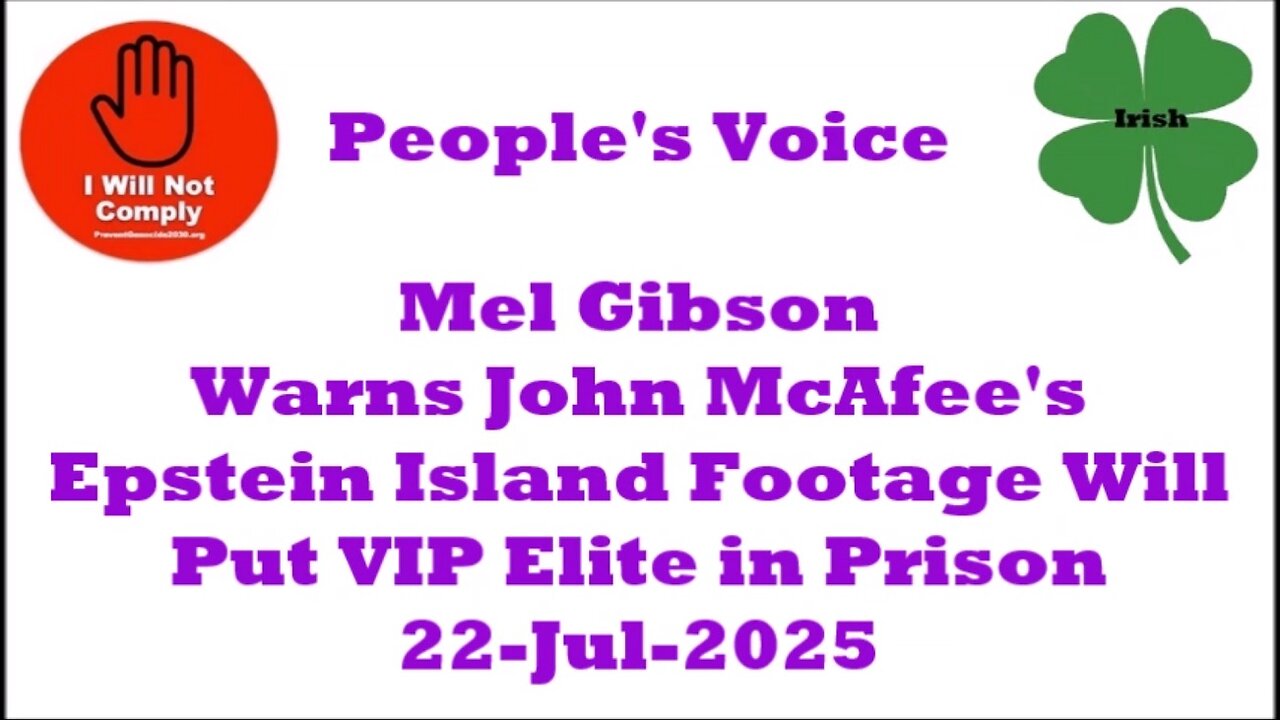Mel Gibson Warns John McAfee's Epstein Island Footage Will Put VIP Elite in Prison 22-Jul-2025