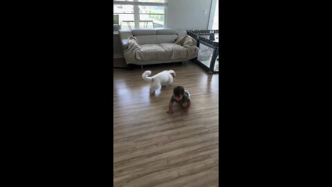 लवली विडिओ