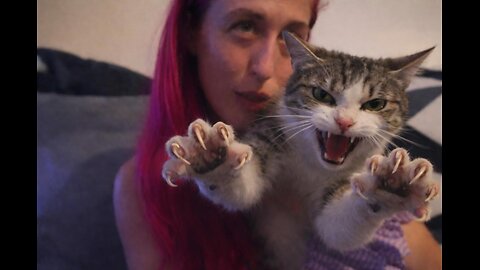 🛑 VP (P2 W/CHAT) W/HER NEWLY FOUND FERAL CAT, BEAN, @ BRANDON'S GETTING HIGH 1-22-26