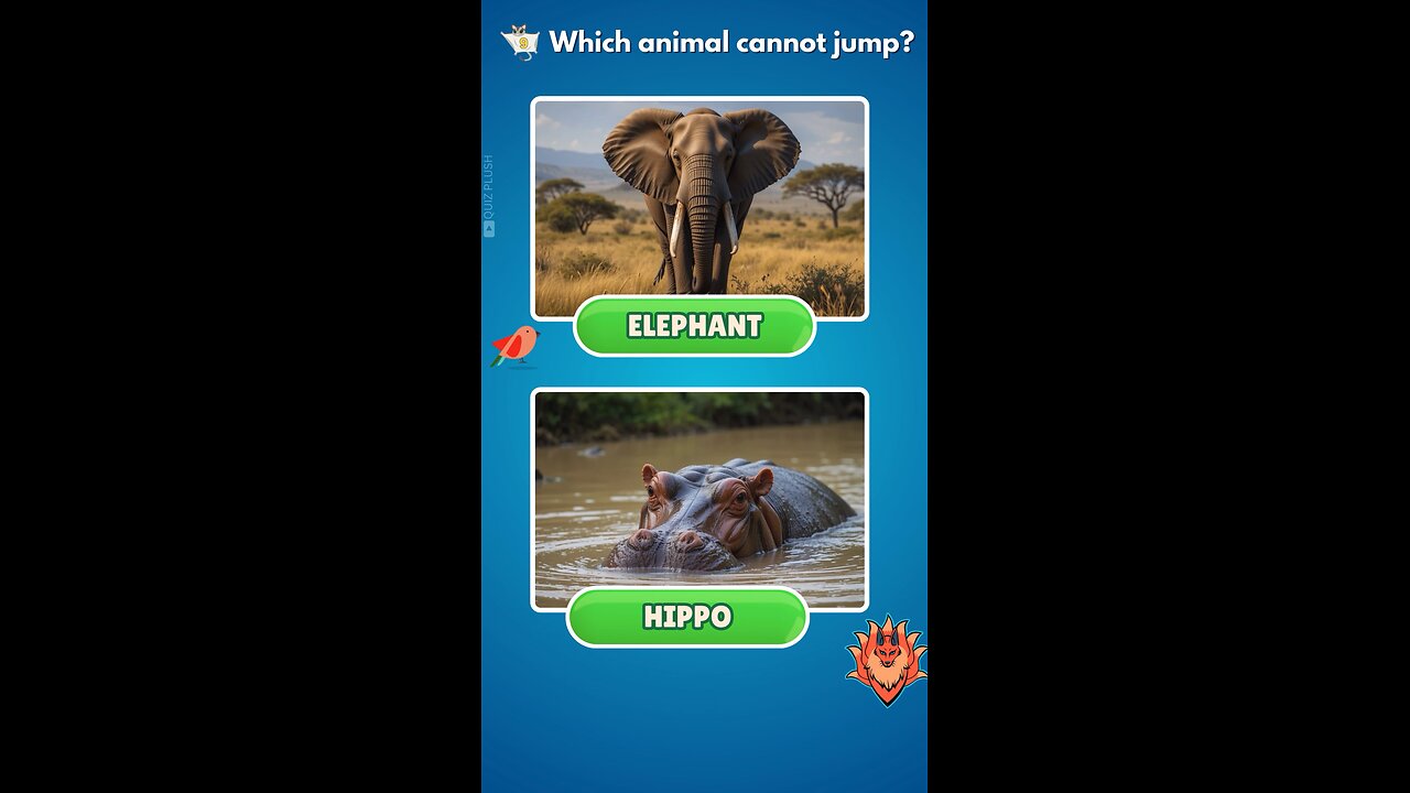 Can you guess which animal can’t jump? #quiz #trivia