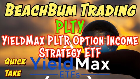 PLTY | YieldMax PLTR Option Income Strategy ETF | Quick Take
