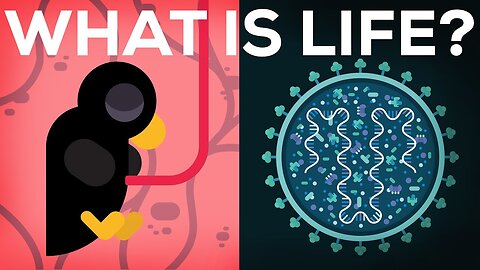 What Is Life? Is Death Real?