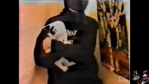 The ALF Saving Cats ✊