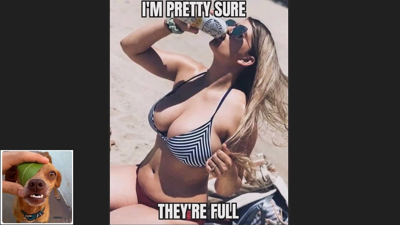 Memes That Will 99.0300% Make You Laugh. (e524)