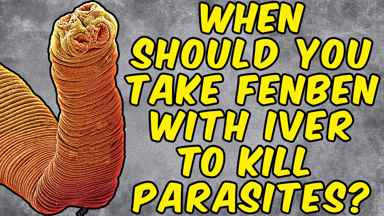 When Should You Take Fenbendazole With Ivermectin To KILL PARASITES?