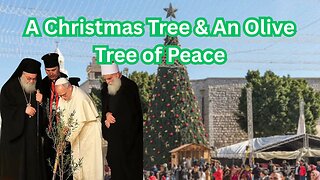 King of Jordan - Protect Christians, Christmas Tree in Bethlehem, Olive Tree of Peace - Ep467