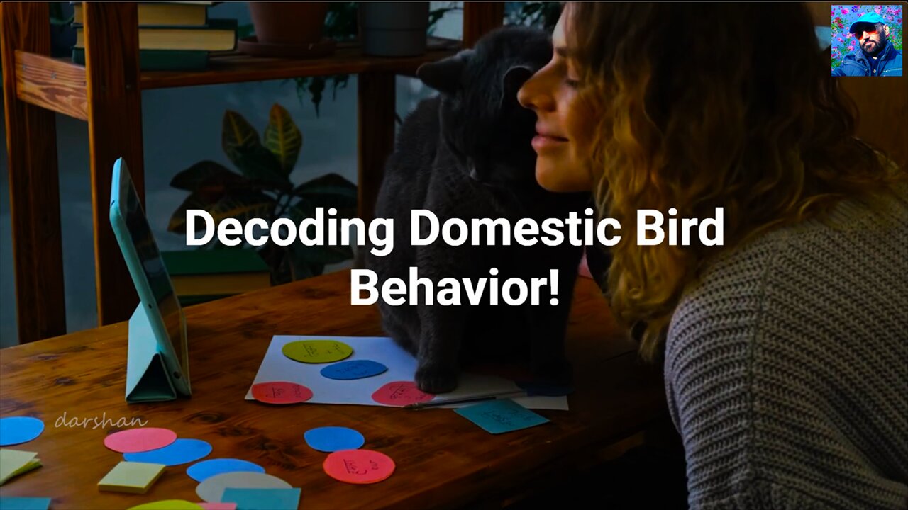 Decoding Domestic Bird Behavior!