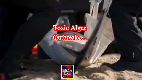 Environmental scientist discusses toxic algae outbreak in California and new advisories