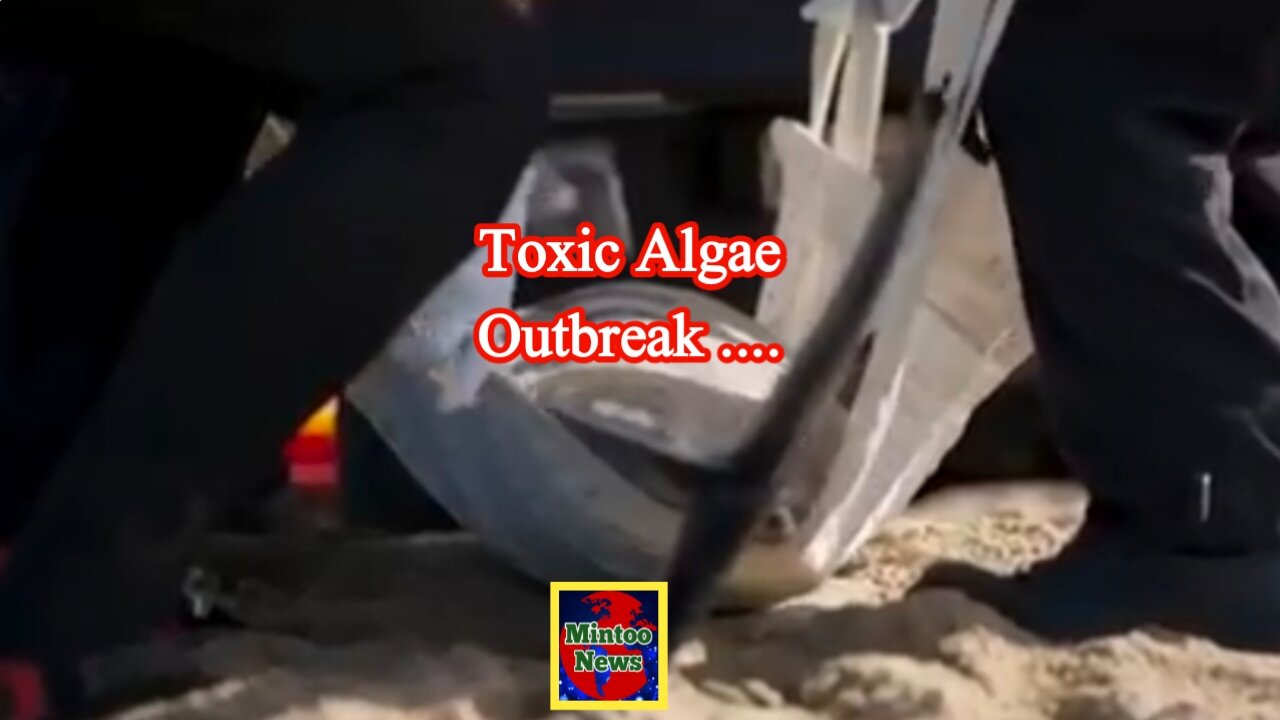 Environmental scientist discusses toxic algae outbreak in California and new advisories