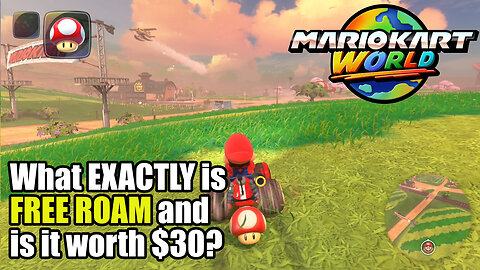 What EXACTLY is "Free Roam" and is it worth $30?