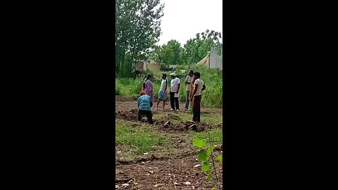 satisfying Video