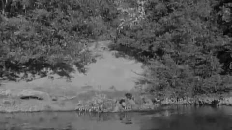 Amazing: COMBAT! s.3 ep.15: "Birthday Cake" (1964)