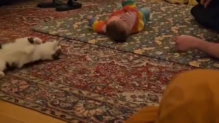 😂🐱 You Won't Believe This Cat Teaching Baby to Roll Over! | FunFM