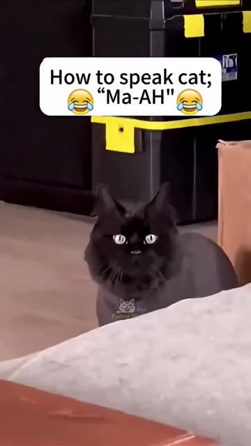 Darn! I've pronounce "Come here" wrong in catish my entire life! Ma-ÄH!