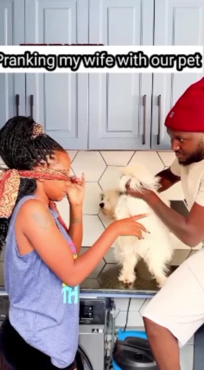 funny funny videos funny names funny animalsfunny funny videos funny names funny animals