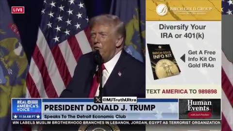 We intend to imprison any fraudster, politician, or public official involved