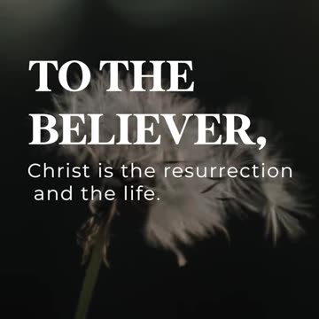 4 Statements about true Happiness