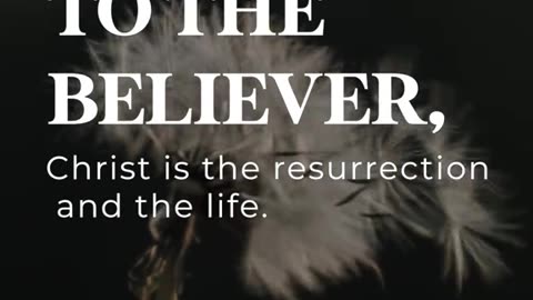 4 Statements about true Happiness