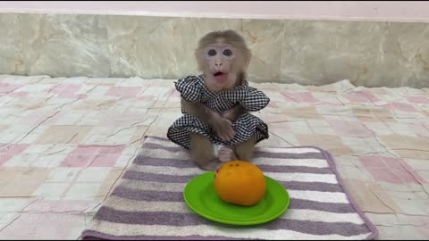 Warming Heart!! Mom & Little Kobie Shaaare Fruity Dessert Together Very Sweet & Lovely!!