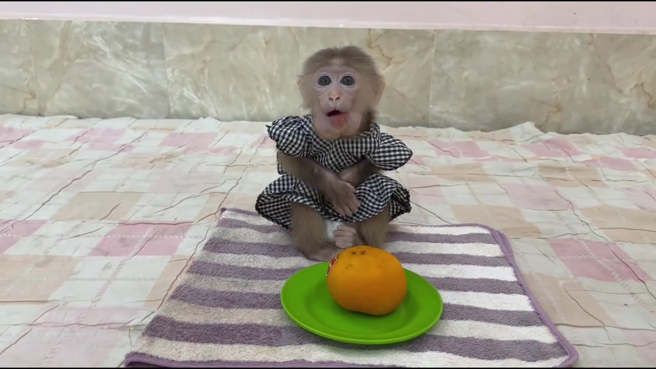 Warming Heart!! Mom & Little Kobie Shaaare Fruity Dessert Together Very Sweet & Lovely!!