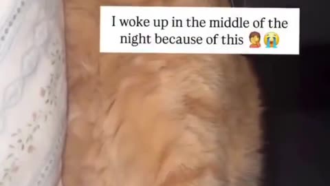 😂💤 This Bro Sleeps Like He’s Paying Rent! | FunFM