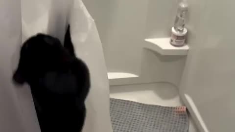 😂 Oh We're Filming? Watch How I Pulled This Off! | FunFM