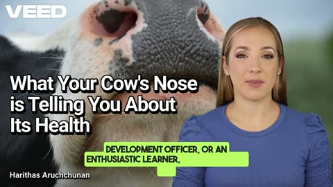 The Nose Knows: What Your Cow's Nose is Telling You About Its Health
