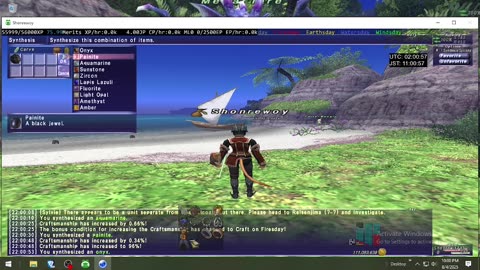Playing Final Fantasy XI Online