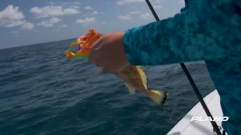 I Caught my First Fire Grouper_part3