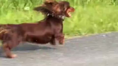 Getting Steps In