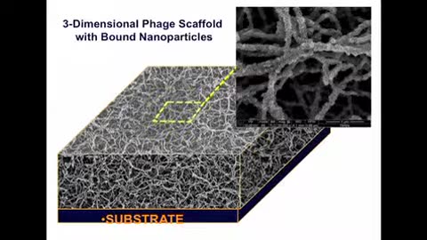 IEEE-EMBC 2011-Keynote-From Nature and Back Again "Growing Structures From Nanobio Materials" (Semiconductors) Angela Belcher, PhD