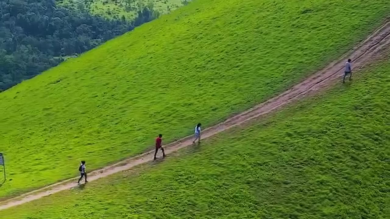 හරි ආදරෙයි මේ කොළ පාටට