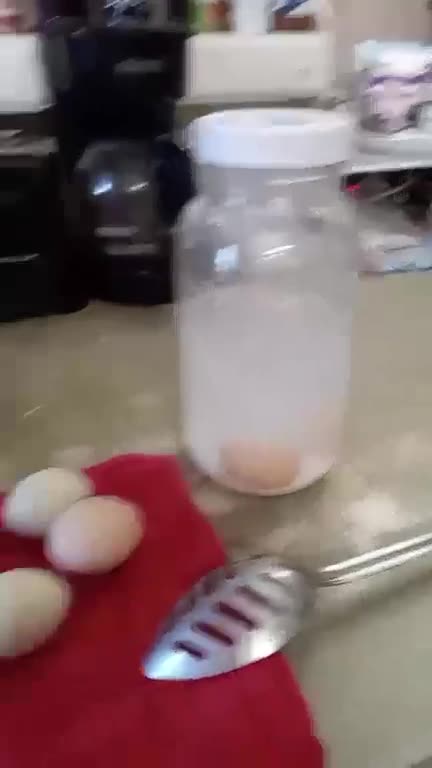 Waterglassing Eggs for Long Term Storage Without Refrigeration