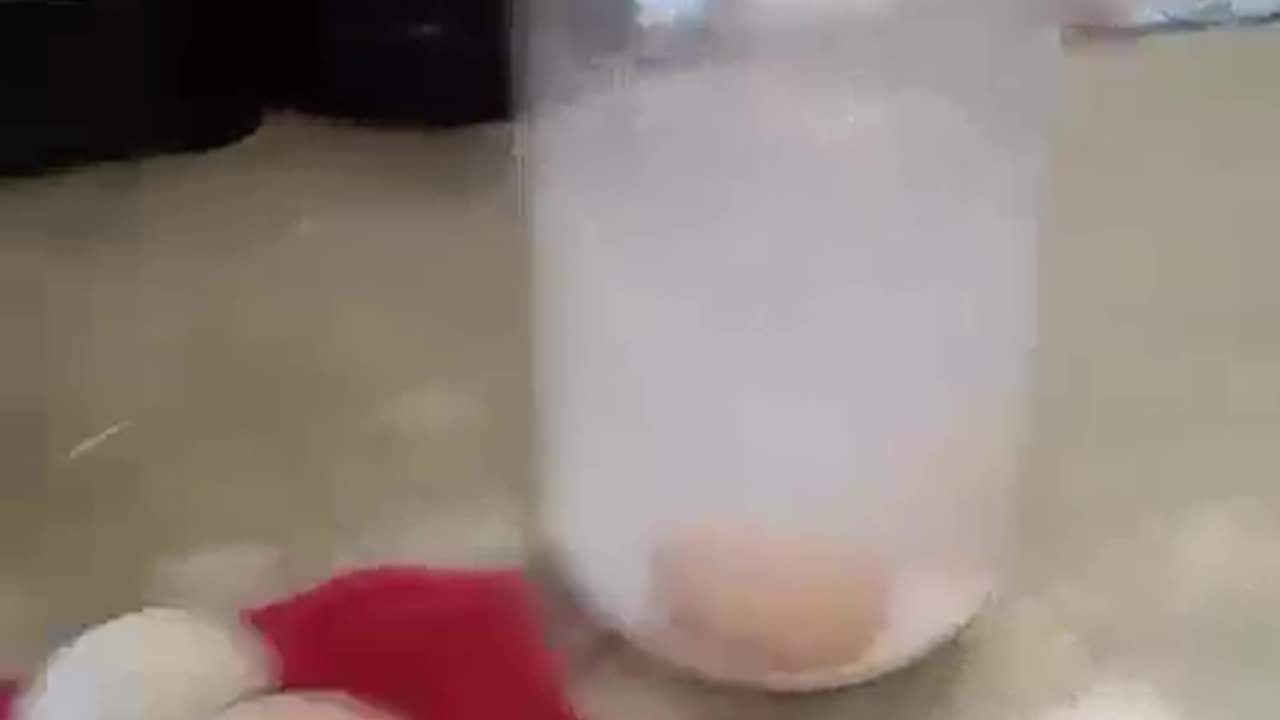 Waterglassing Eggs for Long Term Storage Without Refrigeration