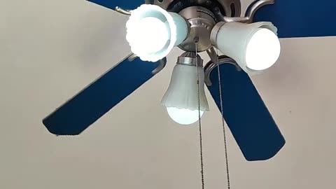 Ceiling Fan Spinning