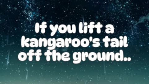 Funny Fact