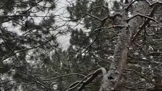 Ukrainians Shoot Down Russian Drone At Last Possible Moment