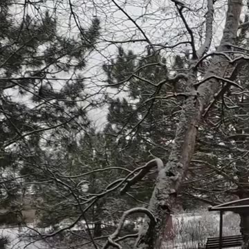 Ukrainians Shoot Down Russian Drone At Last Possible Moment