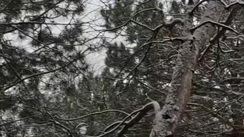 Ukrainians Shoot Down Russian Drone At Last Possible Moment