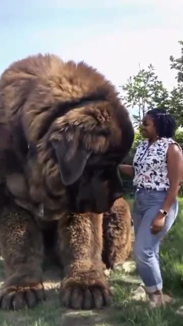 Colourful and unique