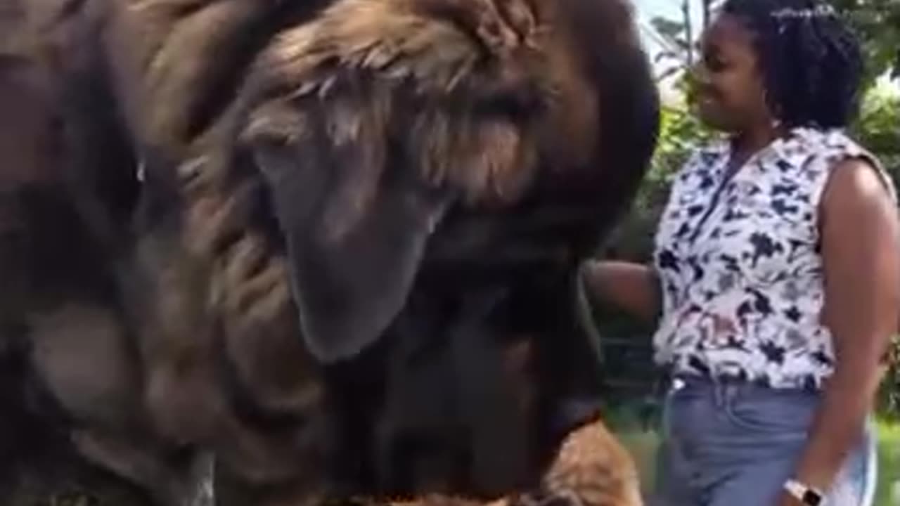 Colourful and unique