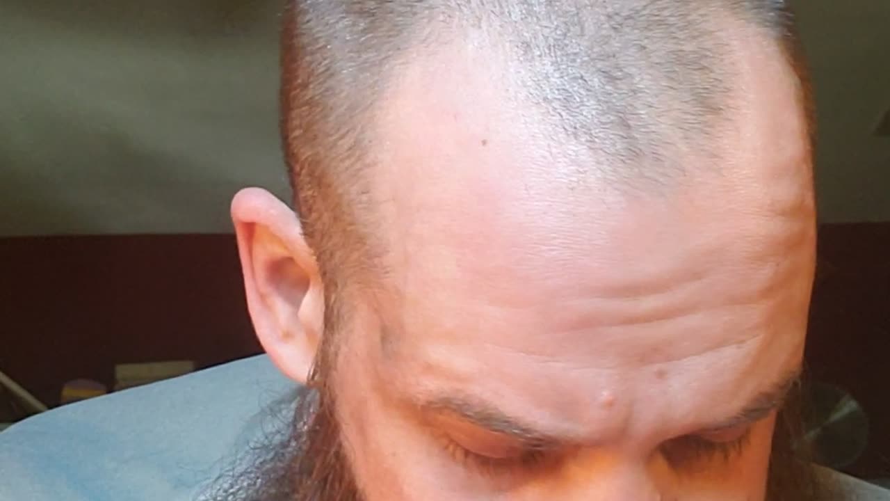 May 11th NLT 365 The One Year Bible Reading