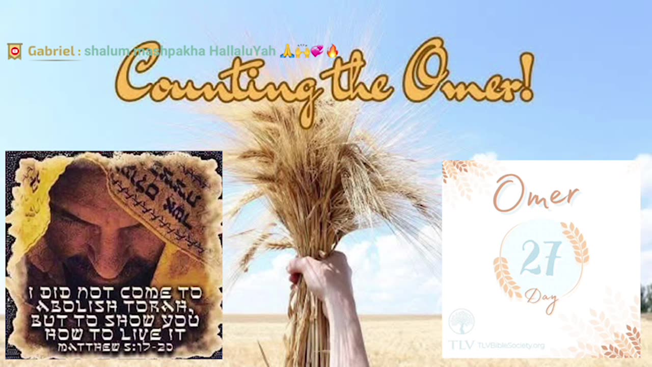 Luke 1; RSTNE Scripture Reading (Day 177) Bible on Audio; Omer 27