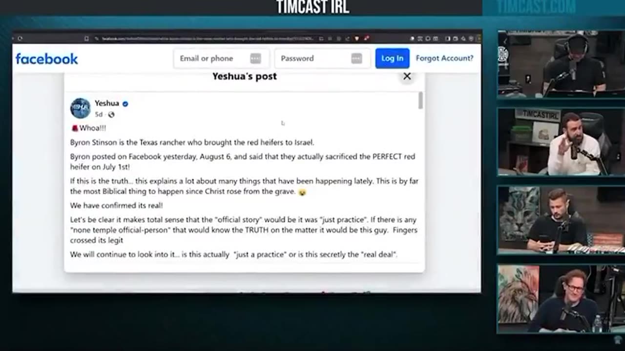 YIDS SECRETLY SACRIFICED ONE OF THE PURE RED HEIFERS 🐮 ON JULY 1ST OF THIS YEAR [TAINTLESS TIMMIE]