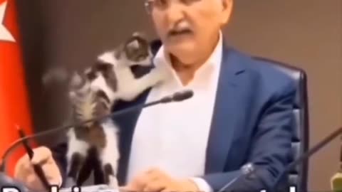 😂🐱 Kitten Interrupts Politician! You Won't Believe How! | FunFM
