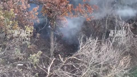 🌲🛸 Ukraine Russia War | FPV Drone Strike on Tactical Targets in Orekhovsky Forest | RCF