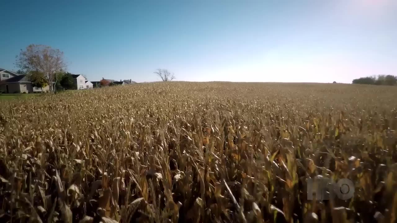 Beware the Slender Man SDBC