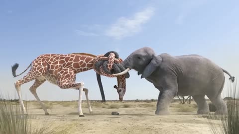 Giraffe Vs Elephant fight for Water