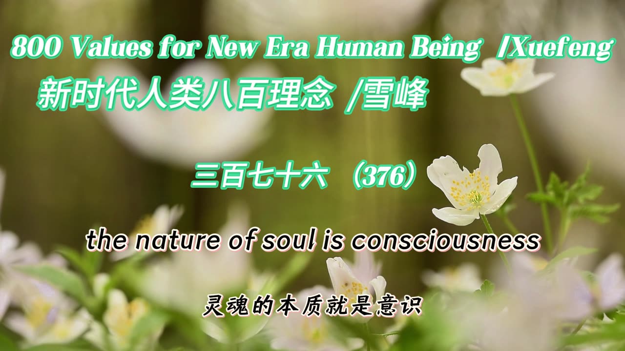 800 Values for New Era Human Being(376)